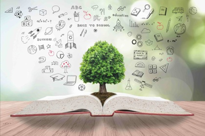 Doctorate/Ph.D. Degree Program in Education