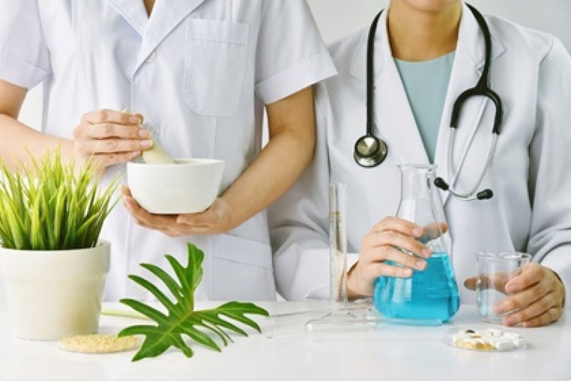 Master's Degree Program in Integrative Medicine